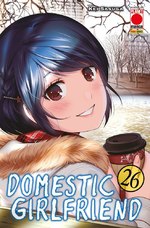 Domestic Girlfriend